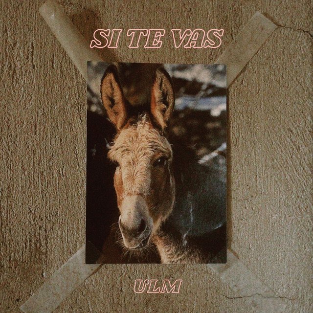Si te vas